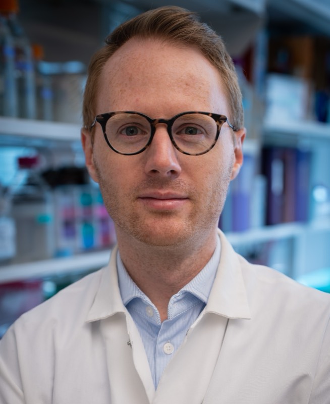 PD Dr. Malte Rörden